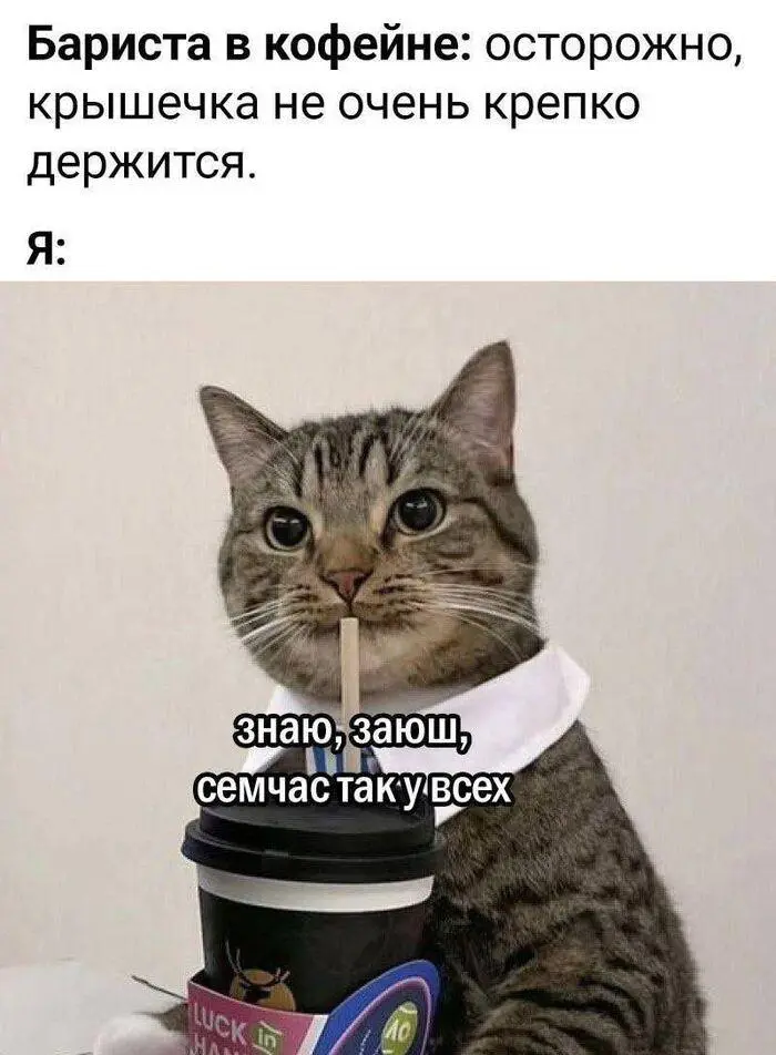 Кофейный юмор: мемы темнее эспрессо