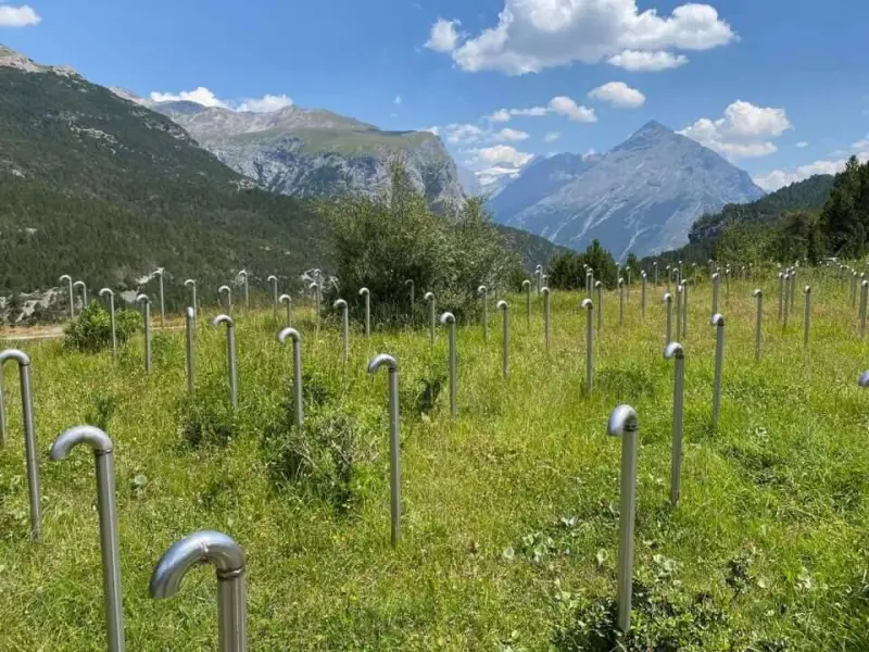 Странные вещи из прошлого: угадайте их назначение