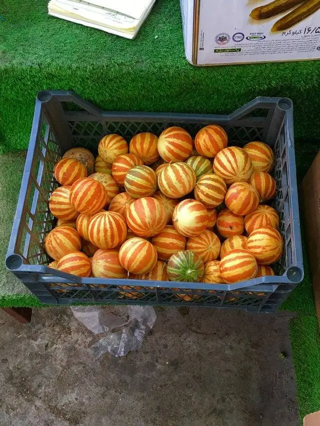 Странные вещи из прошлого: угадайте их назначение