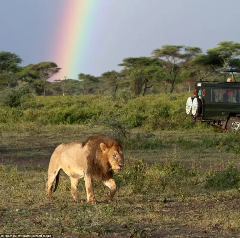 Двойная радуга: магия неба и знак большой удачи