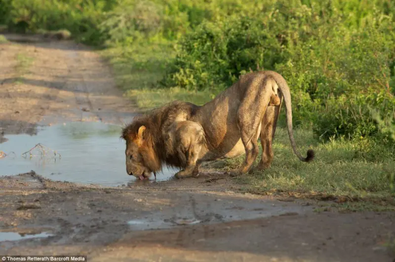 Двойная радуга: магия неба и знак большой удачи