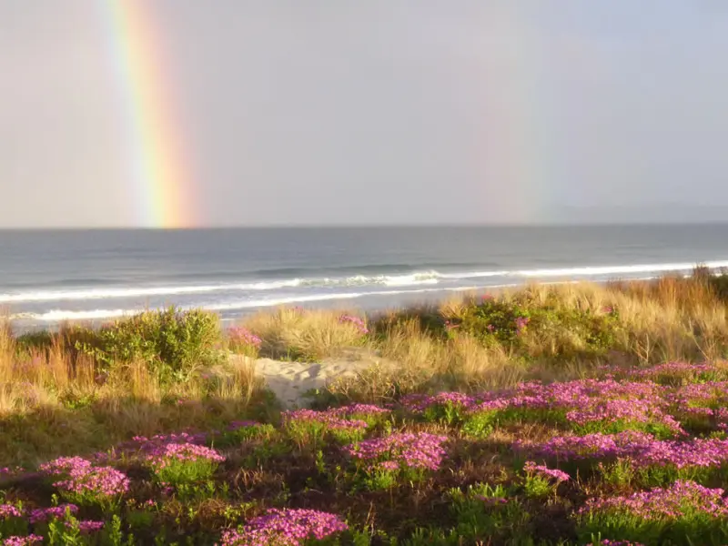 Двойная радуга: магия неба и знак большой удачи
