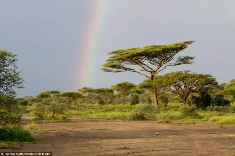 Двойная радуга: магия неба и знак большой удачи