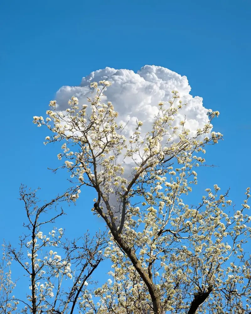 Сюрреалистический эскапизм Кан Хи Ким: когда фотошоп заменяет путешествия