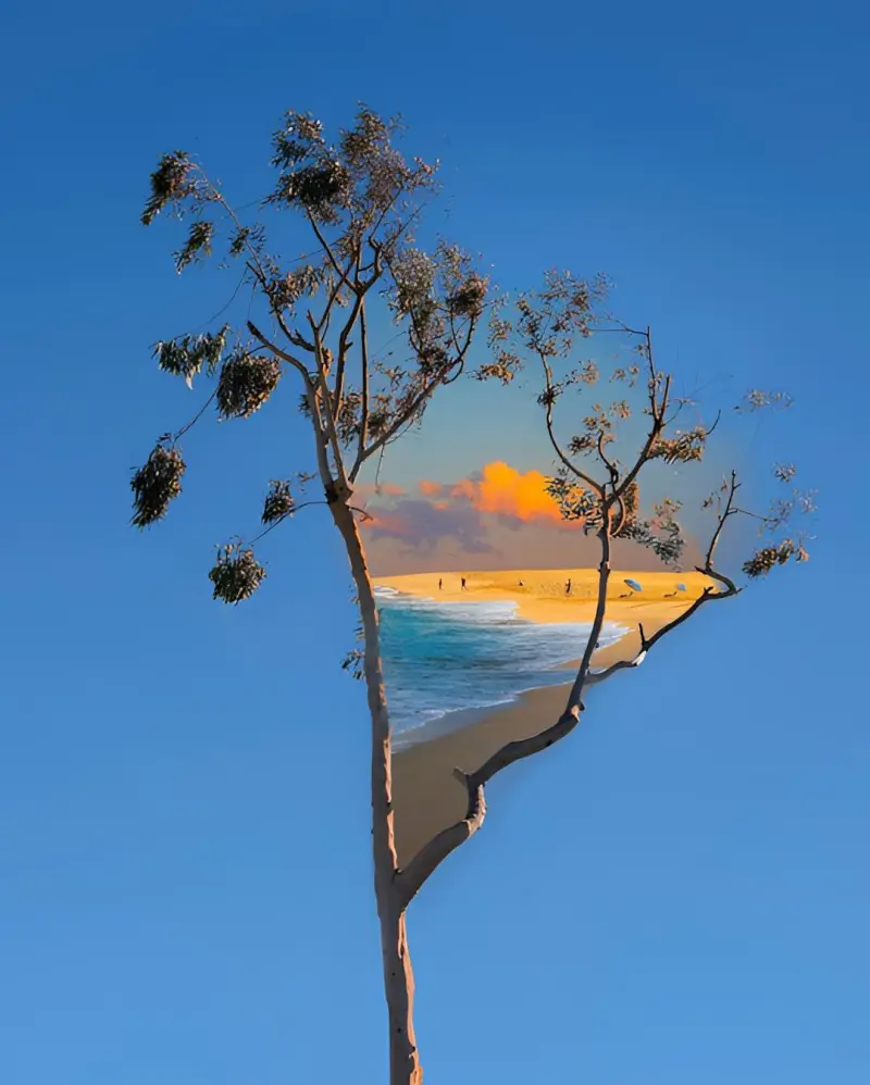 Сюрреалистический эскапизм Кан Хи Ким: когда фотошоп заменяет путешествия