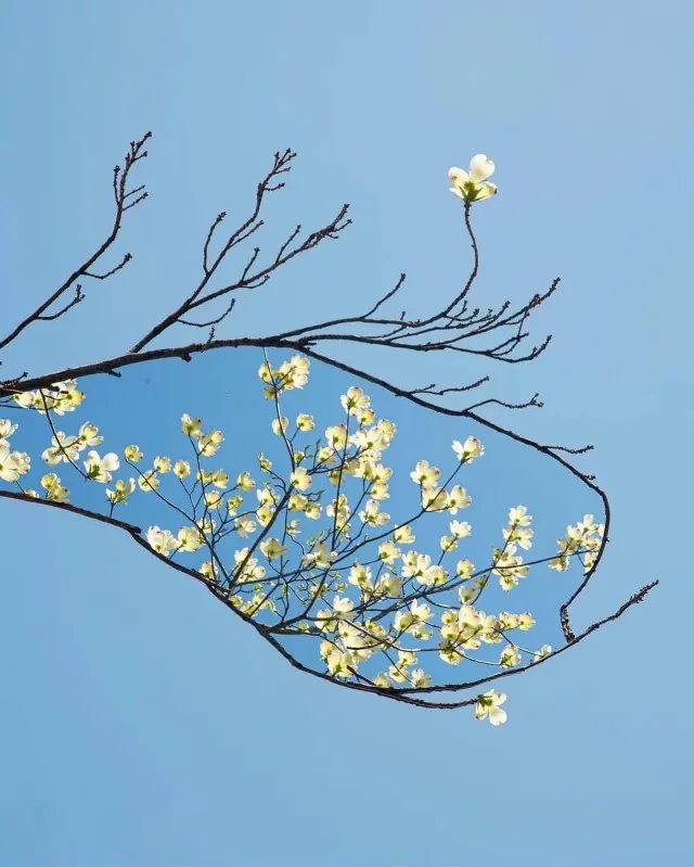 Сюрреалистический эскапизм Кан Хи Ким: когда фотошоп заменяет путешествия