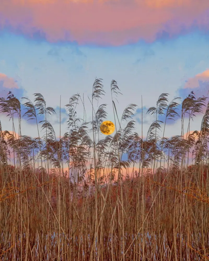 Сюрреалистический эскапизм Кан Хи Ким: когда фотошоп заменяет путешествия