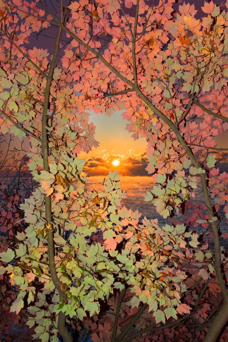 Сюрреалистический эскапизм Кан Хи Ким: когда фотошоп заменяет путешествия