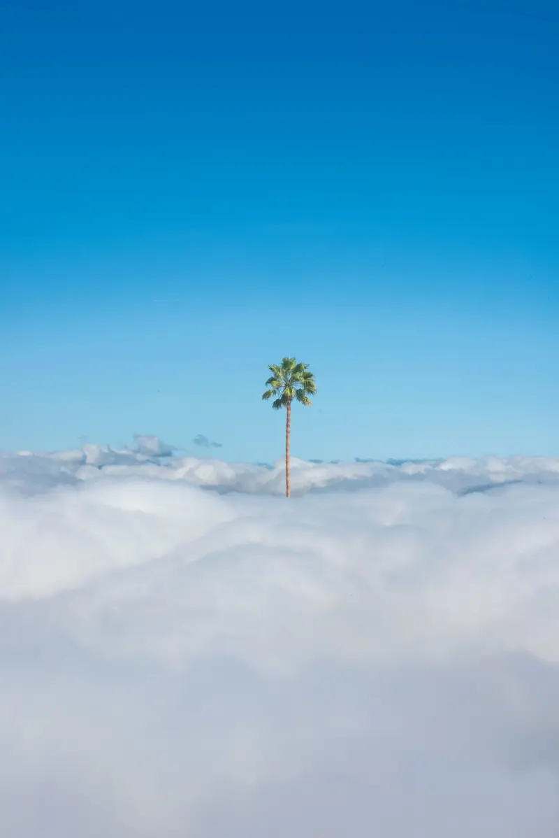 Сюрреалистический эскапизм Кан Хи Ким: когда фотошоп заменяет путешествия