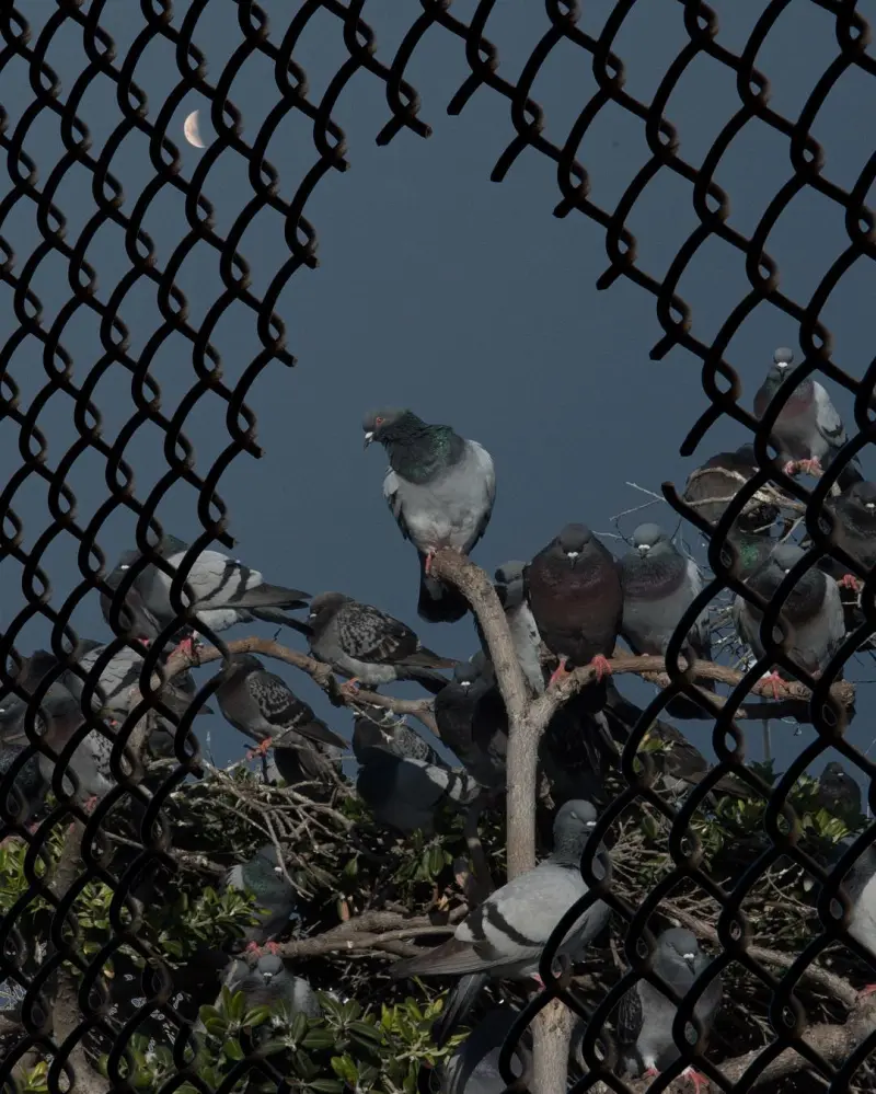 Сюрреалистический эскапизм Кан Хи Ким: когда фотошоп заменяет путешествия