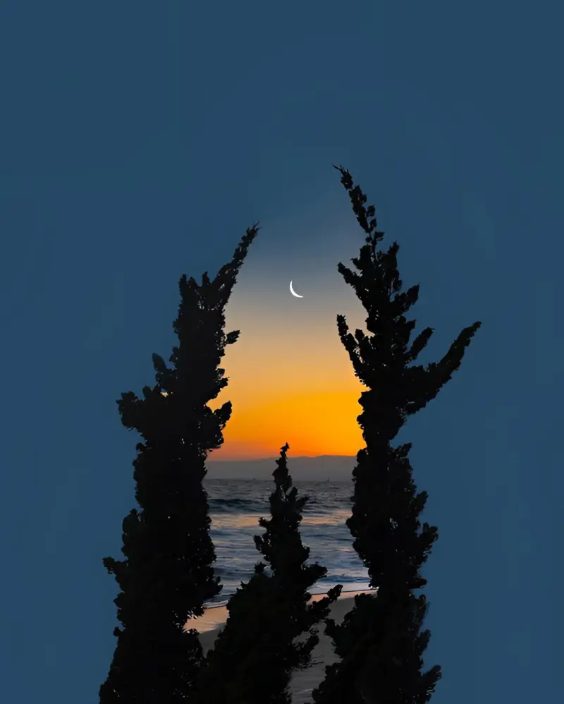 Сюрреалистический эскапизм Кан Хи Ким: когда фотошоп заменяет путешествия