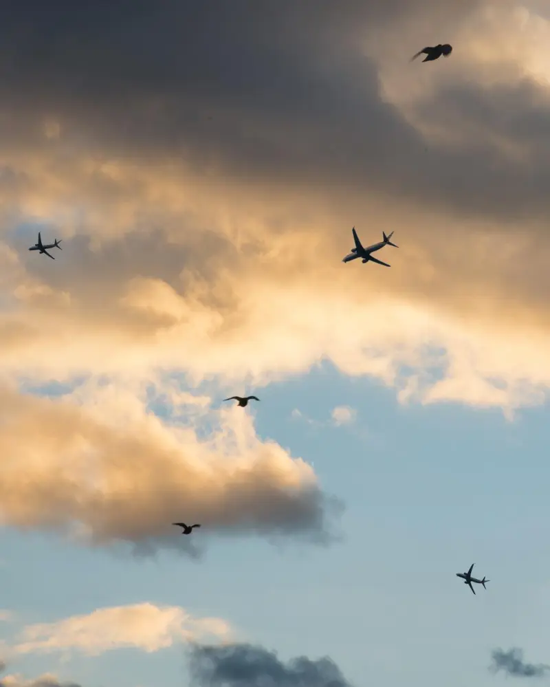 Сюрреалистический эскапизм Кан Хи Ким: когда фотошоп заменяет путешествия