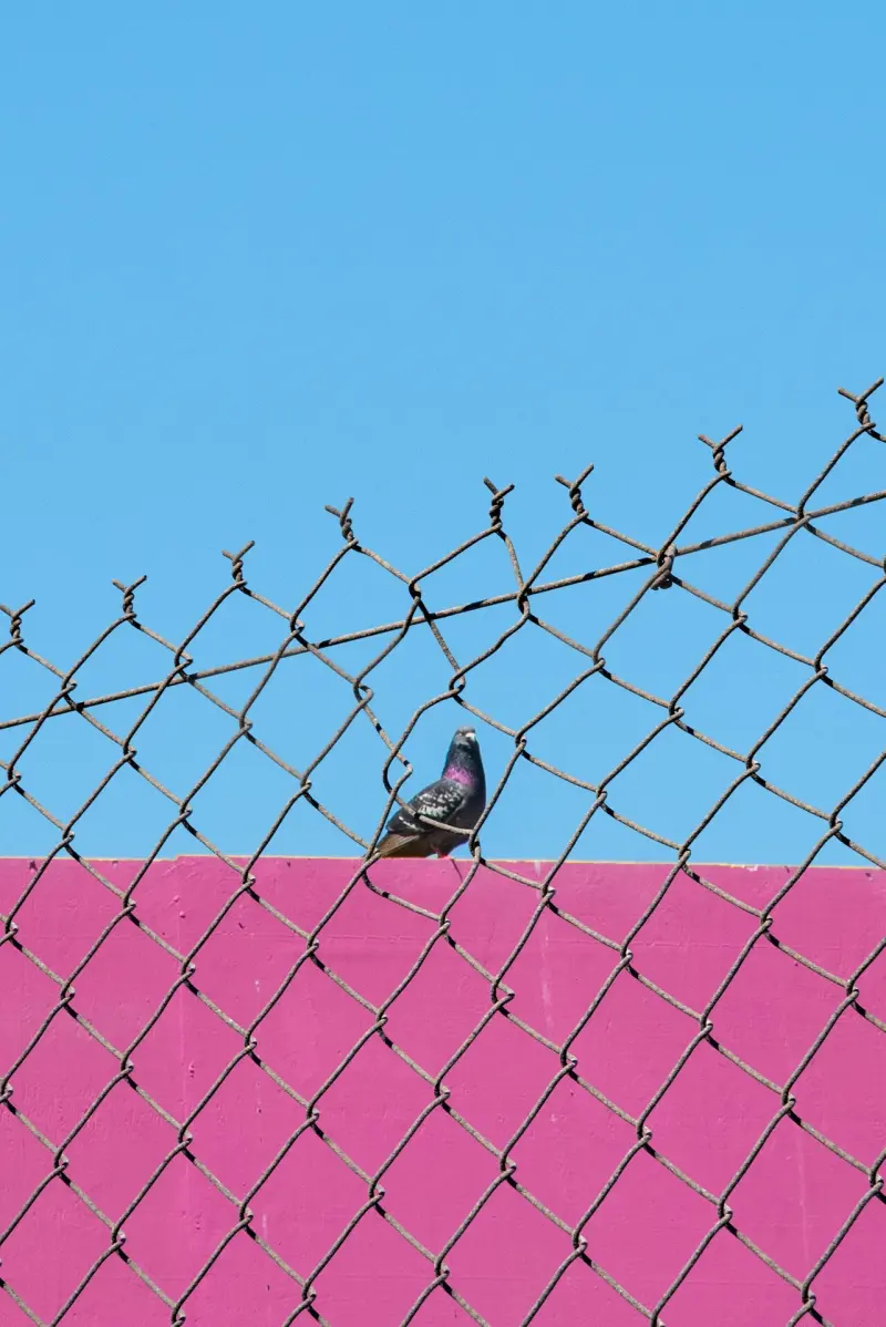 Сюрреалистический эскапизм Кан Хи Ким: когда фотошоп заменяет путешествия