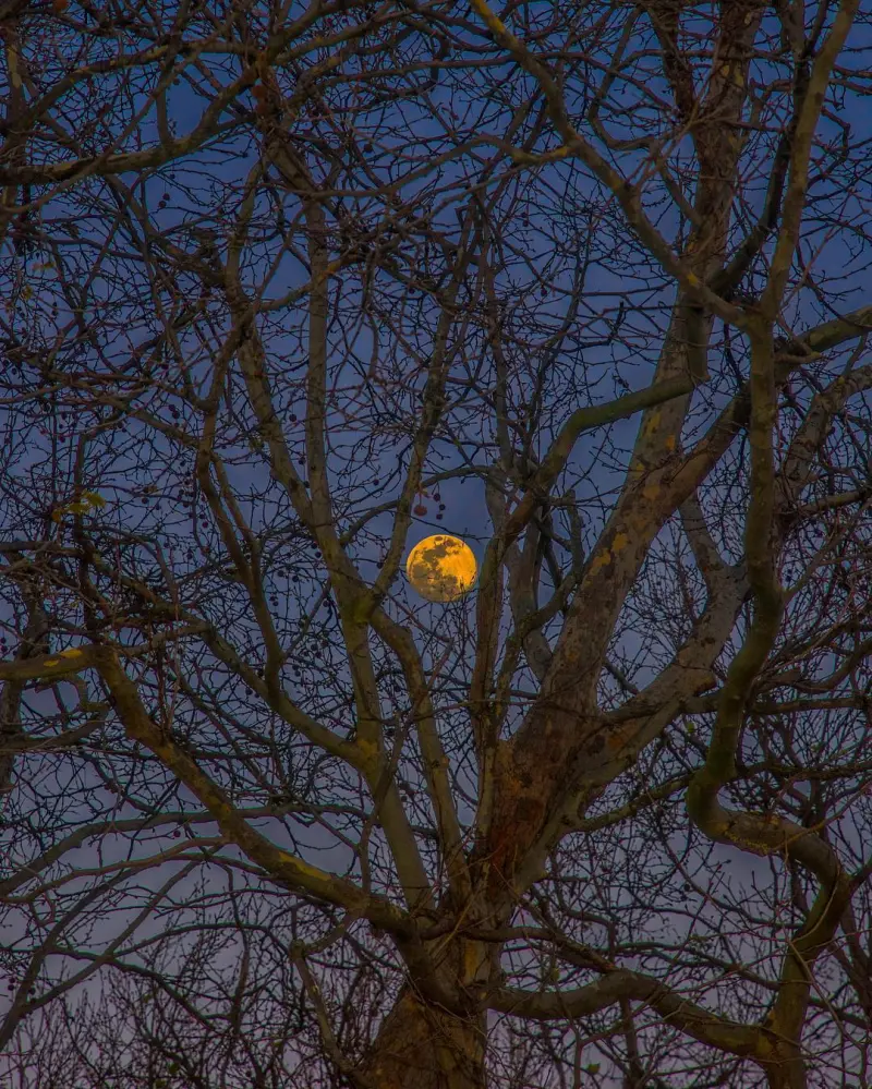 Сюрреалистический эскапизм Кан Хи Ким: когда фотошоп заменяет путешествия