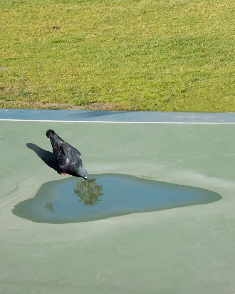 Сюрреалистический эскапизм Кан Хи Ким: когда фотошоп заменяет путешествия