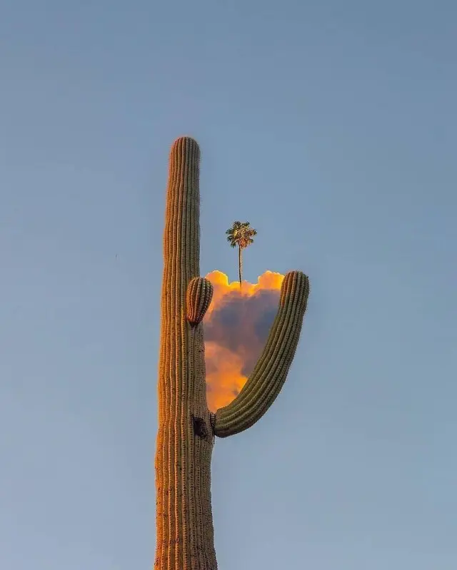 Сюрреалистический эскапизм Кан Хи Ким: когда фотошоп заменяет путешествия