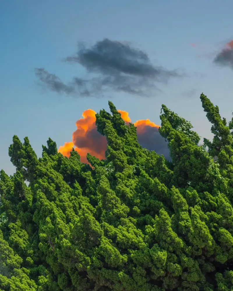 Сюрреалистический эскапизм Кан Хи Ким: когда фотошоп заменяет путешествия