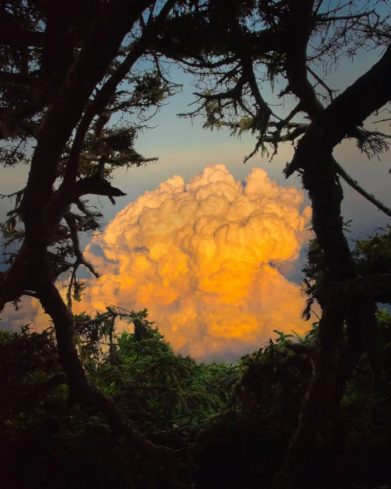 Сюрреалистический эскапизм Кан Хи Ким: когда фотошоп заменяет путешествия