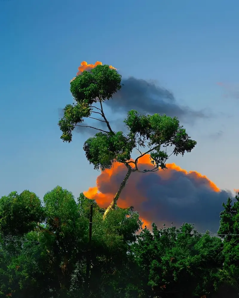 Сюрреалистический эскапизм Кан Хи Ким: когда фотошоп заменяет путешествия