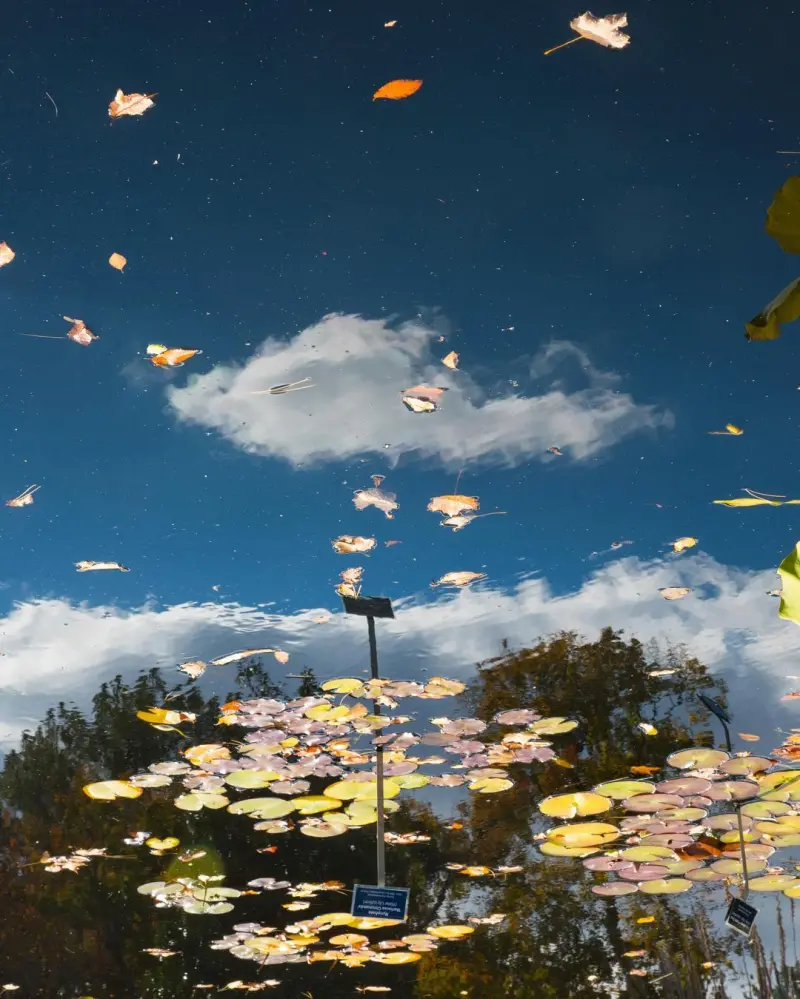 Сюрреалистический эскапизм Кан Хи Ким: когда фотошоп заменяет путешествия