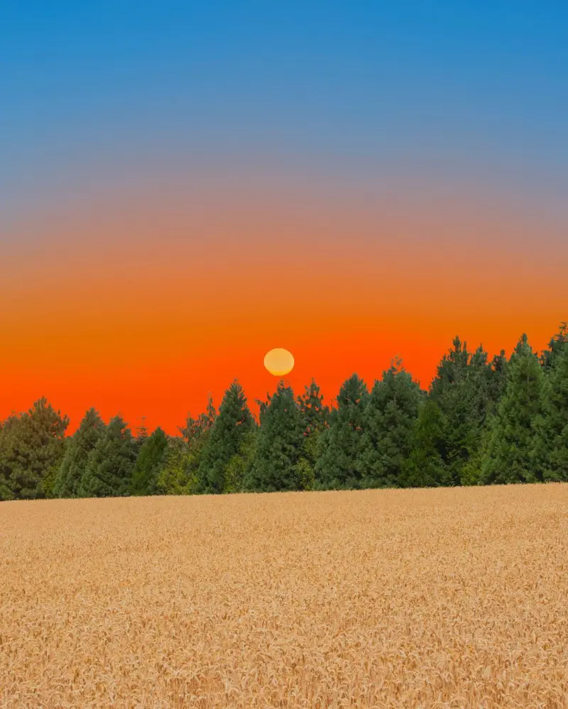 Сюрреалистический эскапизм Кан Хи Ким: когда фотошоп заменяет путешествия