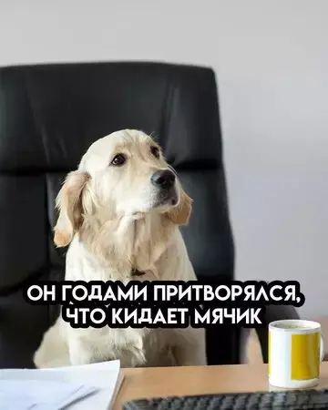 Взрыв смеха: лучшие мемы для ваших выходных