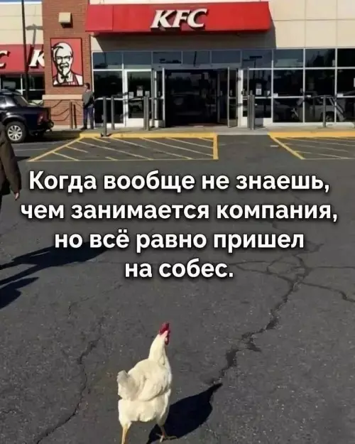 Взрыв смеха: лучшие мемы для ваших выходных