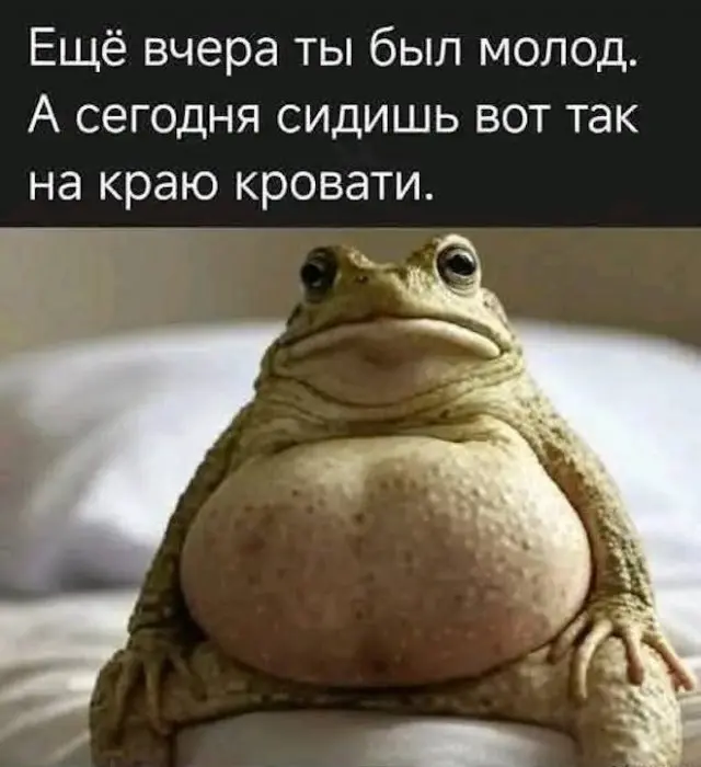 Взрыв смеха: лучшие мемы для ваших выходных