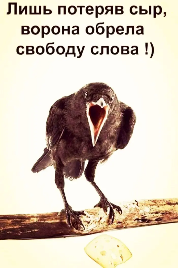 Взрыв смеха: лучшие мемы для ваших выходных