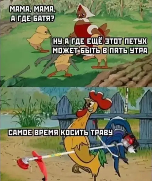 Взрыв смеха: лучшие мемы для ваших выходных