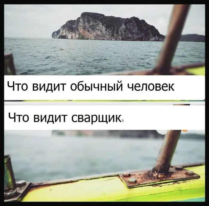 Взрыв смеха: лучшие мемы для ваших выходных