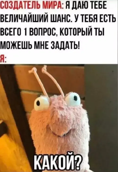 Взрыв смеха: лучшие мемы для ваших выходных