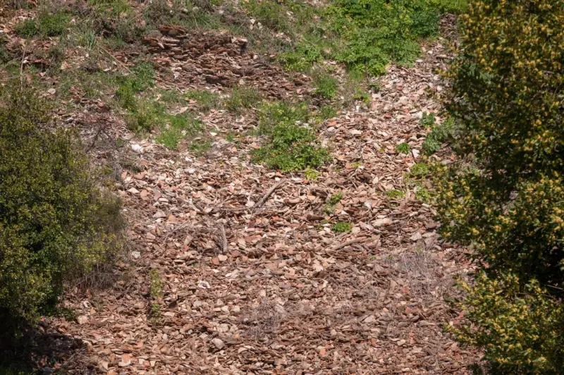 Неустойчивые, но гениальные: вся правда о древних амфорах