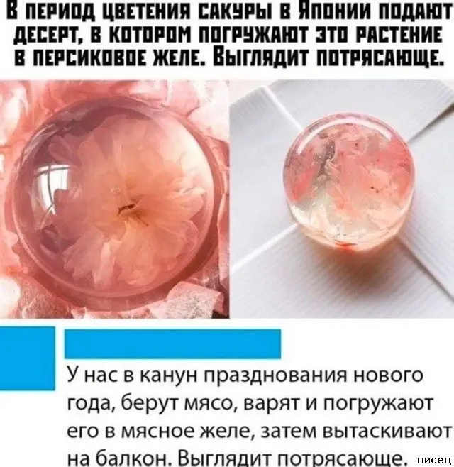 Смешные комментарии из соцсетей: подборка лучших приколов