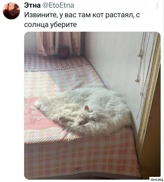 Смешные комментарии из соцсетей: подборка лучших приколов
