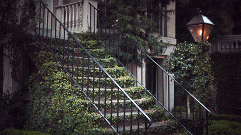 Ожившие мгновения: магия синемаграфий от Джеми Бэк