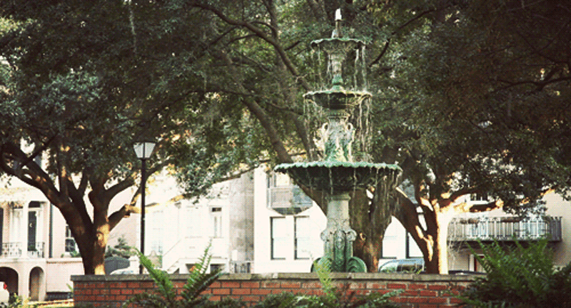 Ожившие мгновения: магия синемаграфий от Джеми Бэк