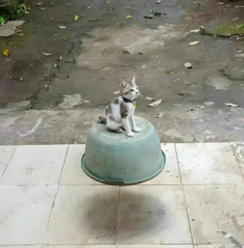 25 фото, которые заставят вас потереть глаза