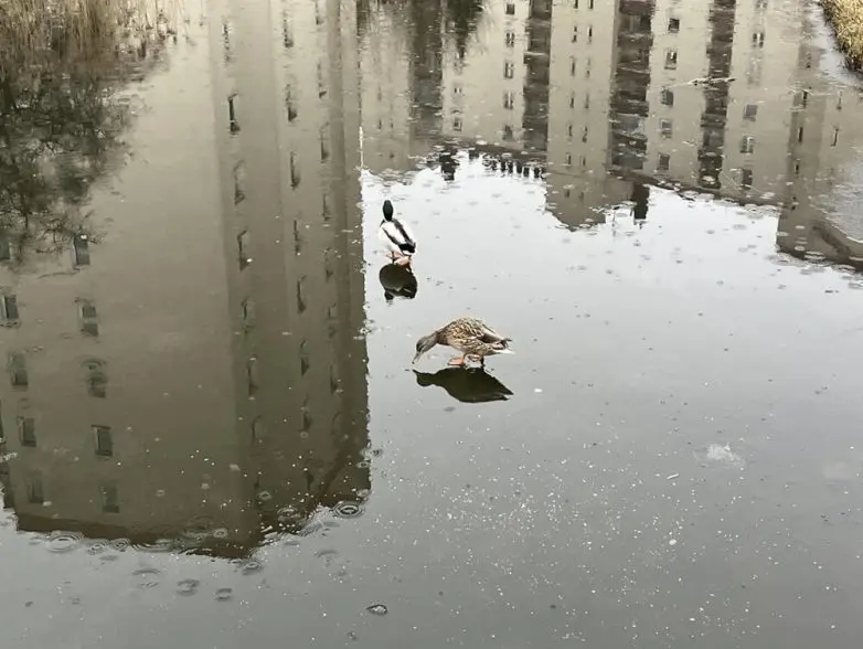 25 фото, которые заставят вас потереть глаза