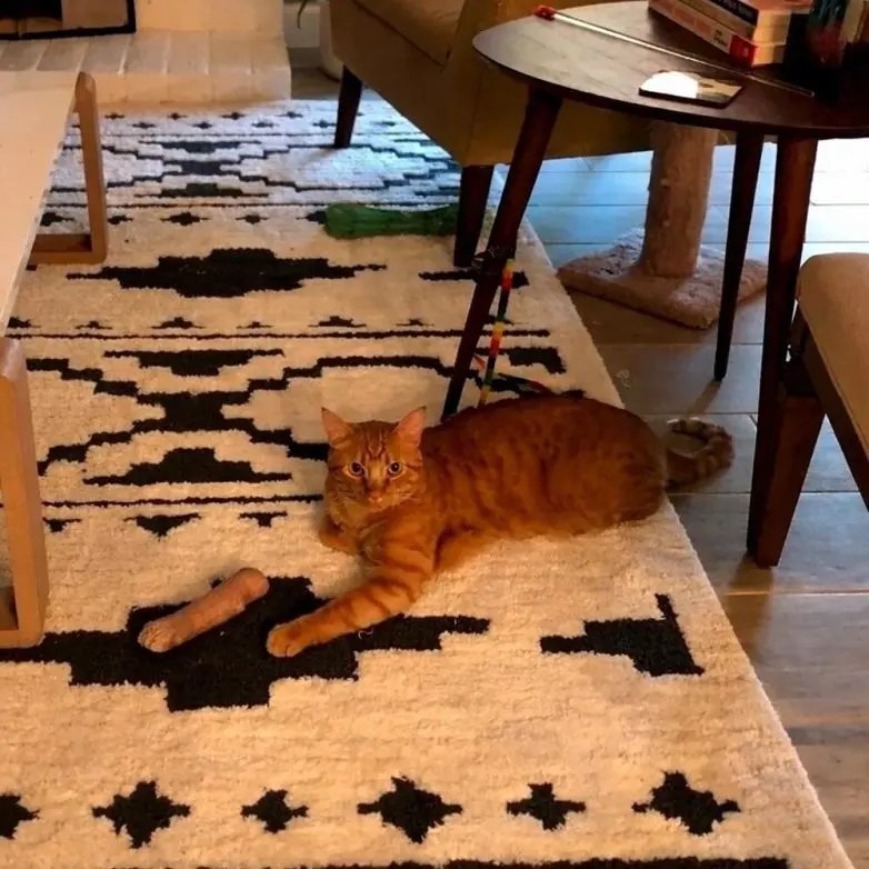 25 фото, которые заставят вас потереть глаза