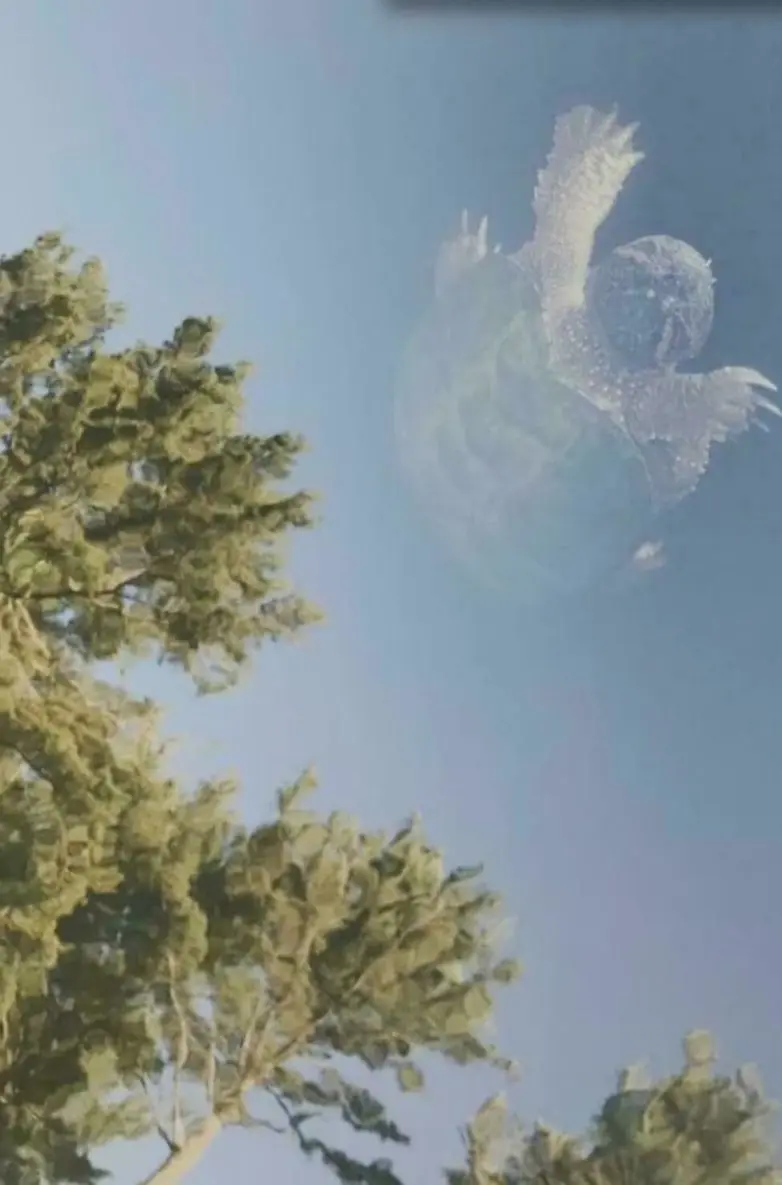 25 фото, которые заставят вас потереть глаза