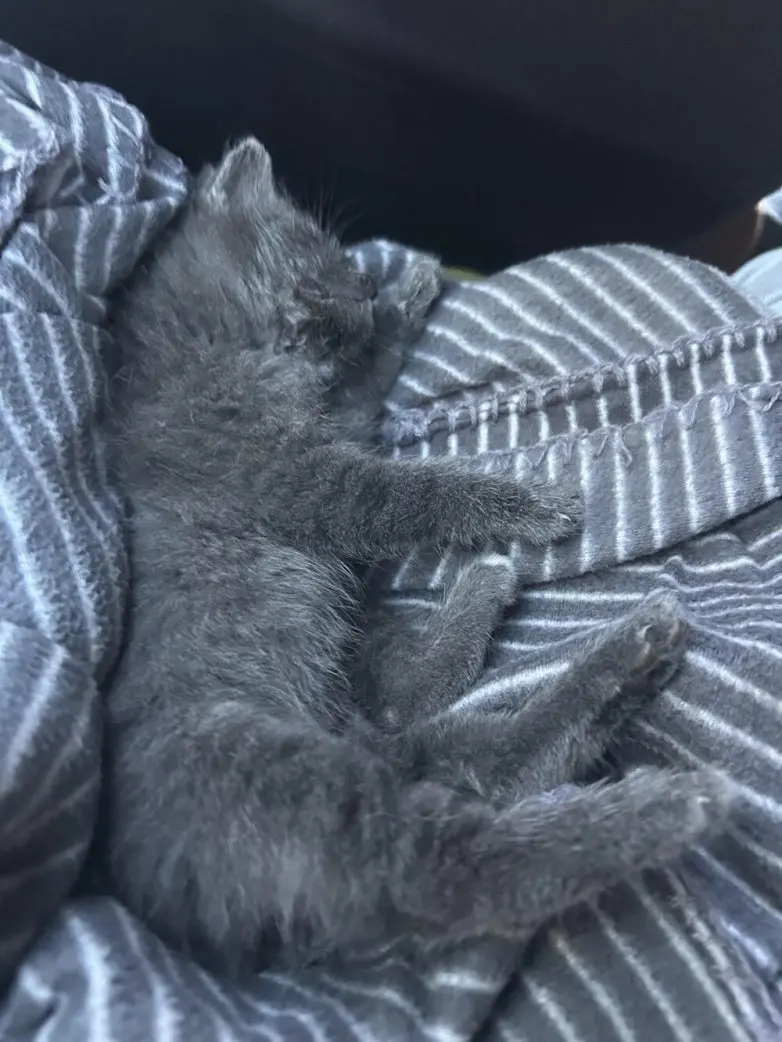 25 фото, которые заставят вас потереть глаза