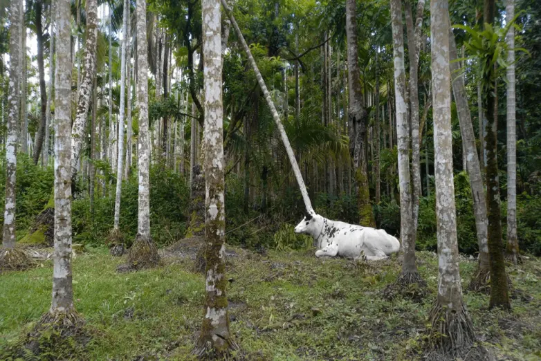 25 фото, которые заставят вас потереть глаза