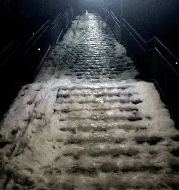 25 фото, которые заставят вас потереть глаза