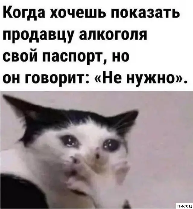 Когда жизнь подкидывает смешные моменты