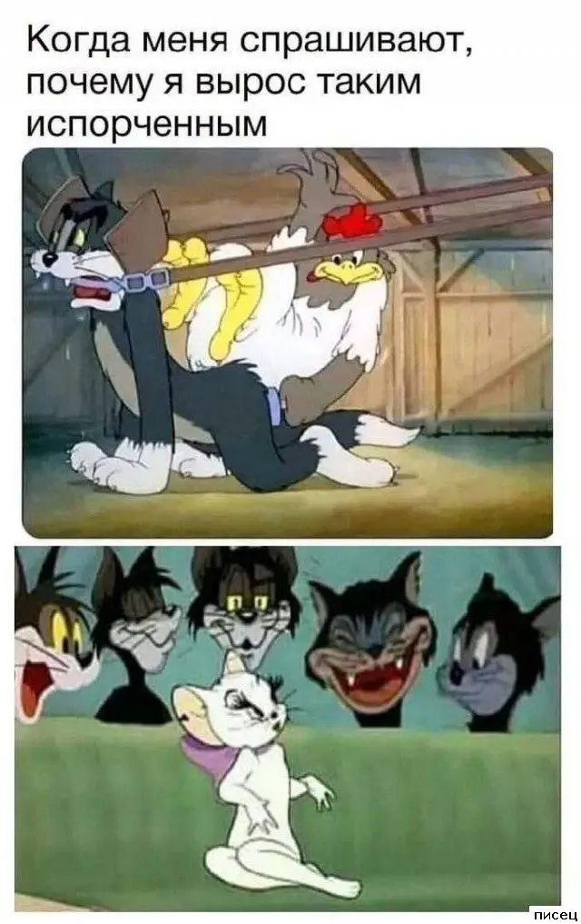 Когда жизнь подкидывает смешные моменты