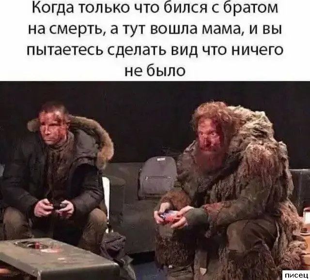 Когда жизнь подкидывает смешные моменты