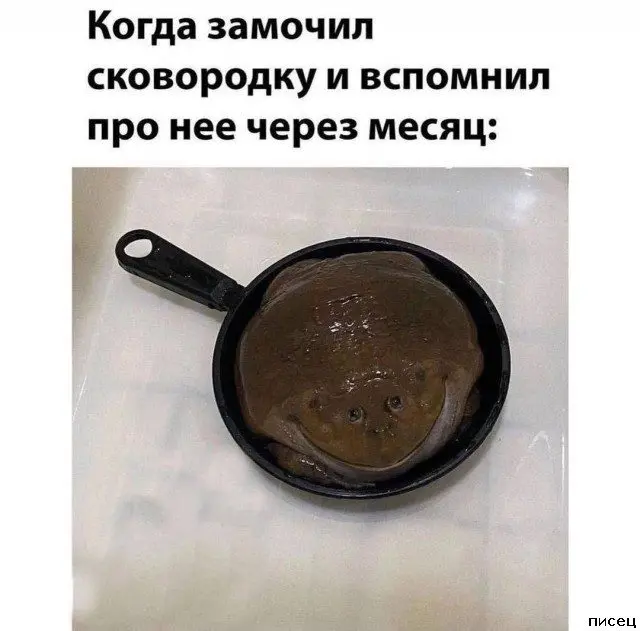 Когда жизнь подкидывает смешные моменты