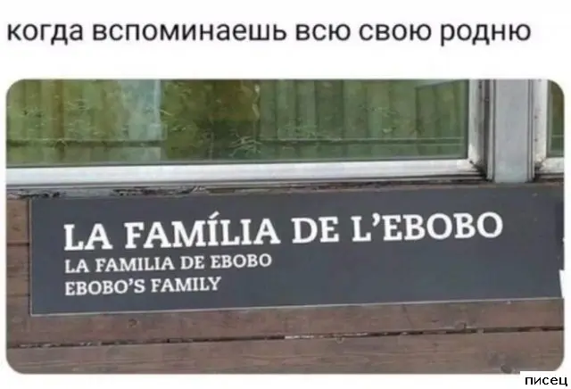 Когда жизнь подкидывает смешные моменты