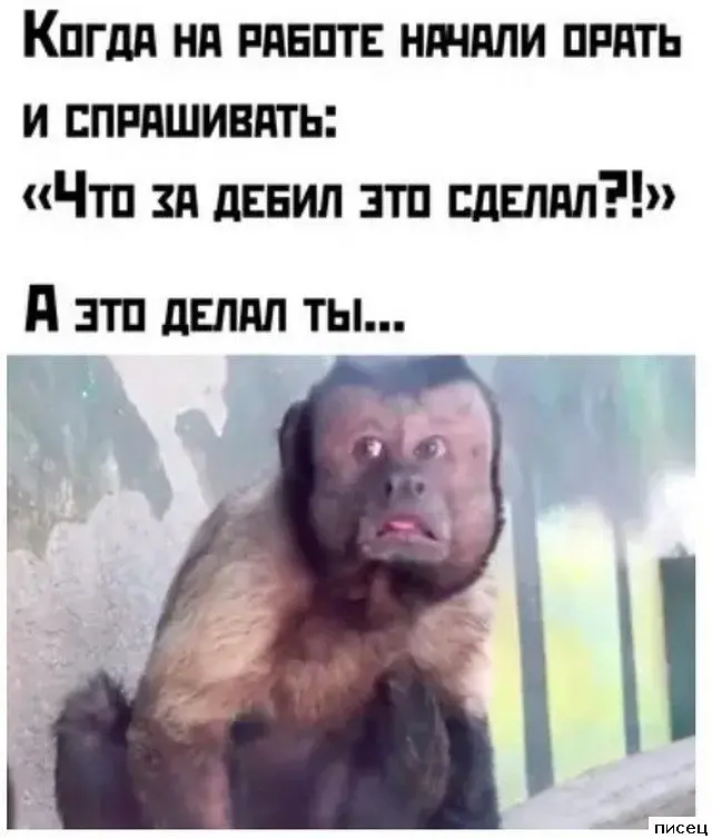 Когда жизнь подкидывает смешные моменты